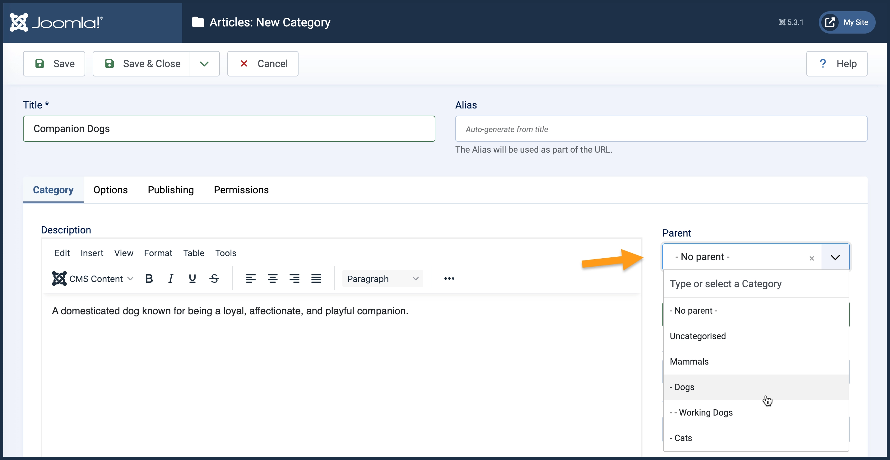 Screenshot of the new-category form