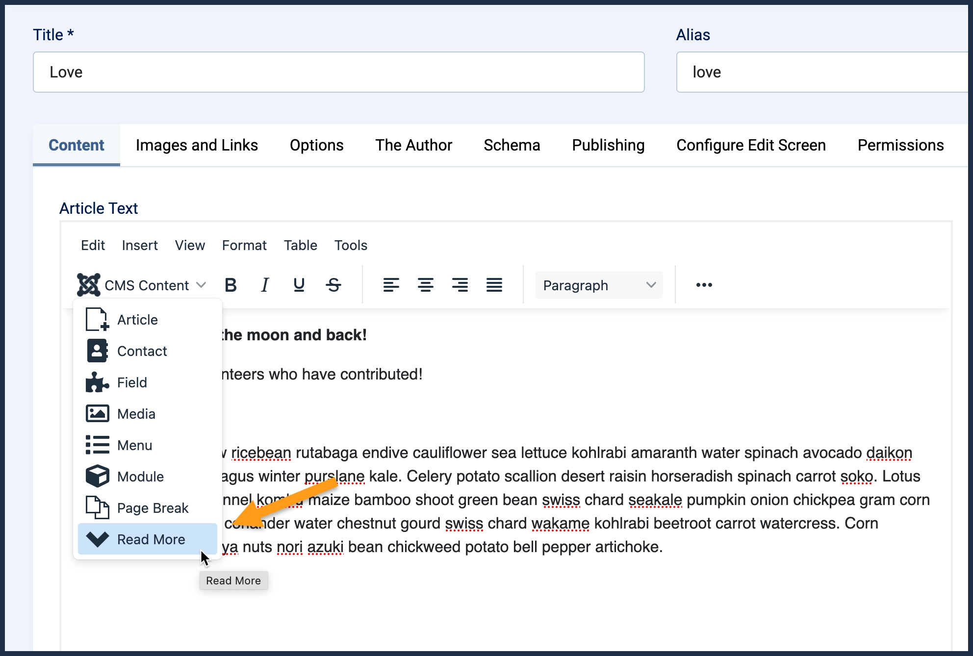 Screenshot showing the read-more link being inserted from the menu