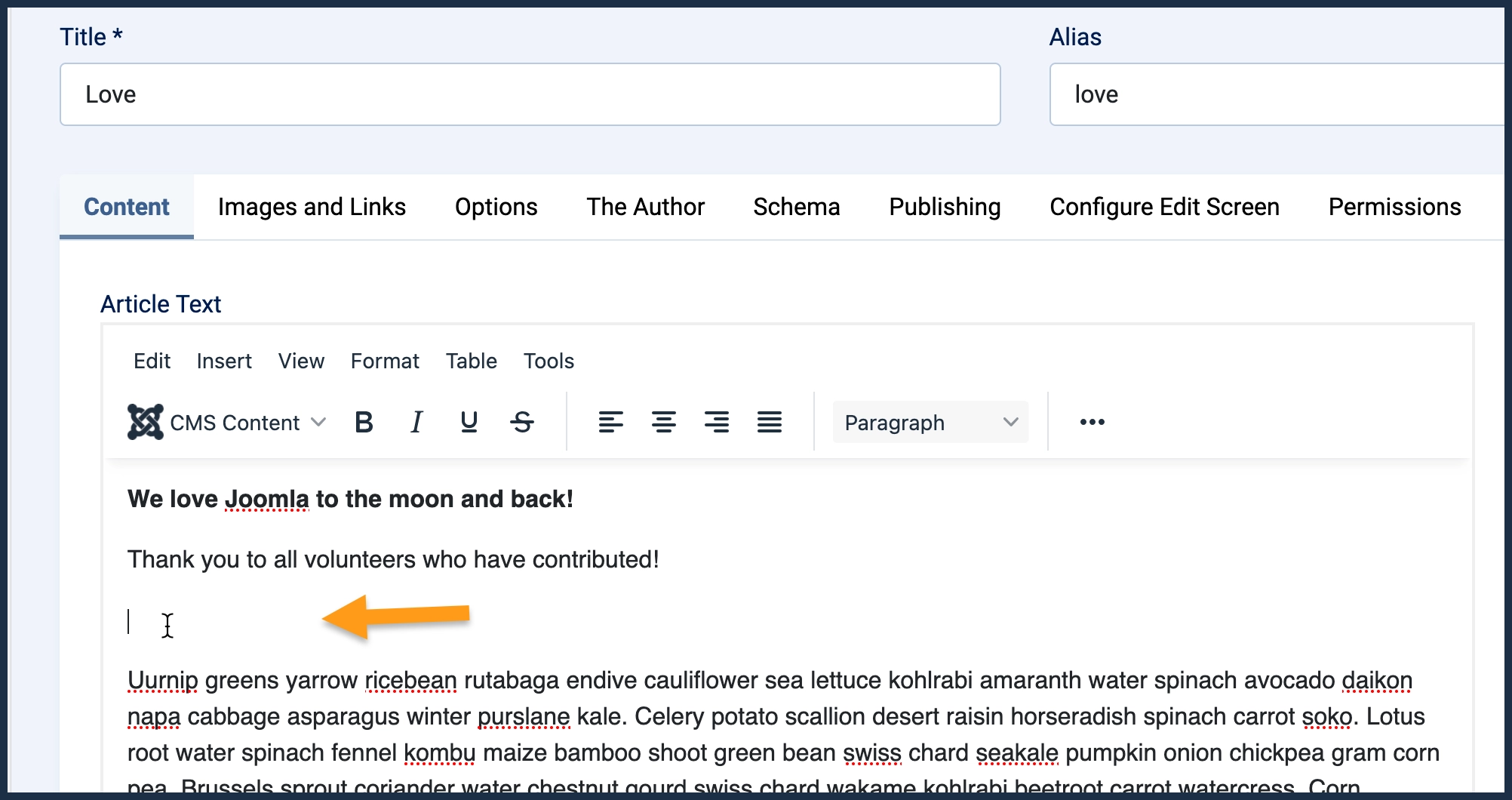 Screenshot showing positioning for read-more link