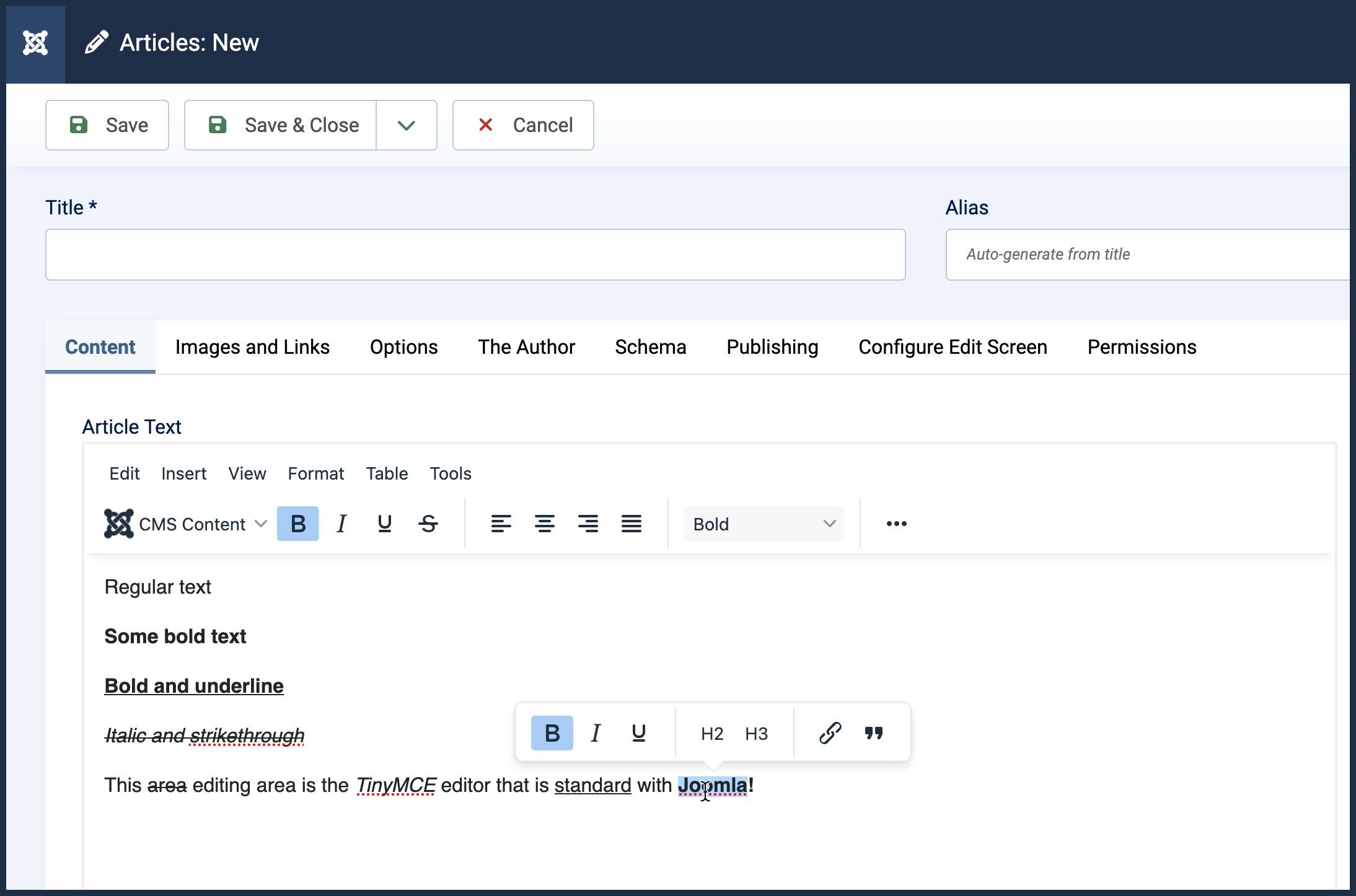 Screenshot of the text editing area with a bold section of text highlighted