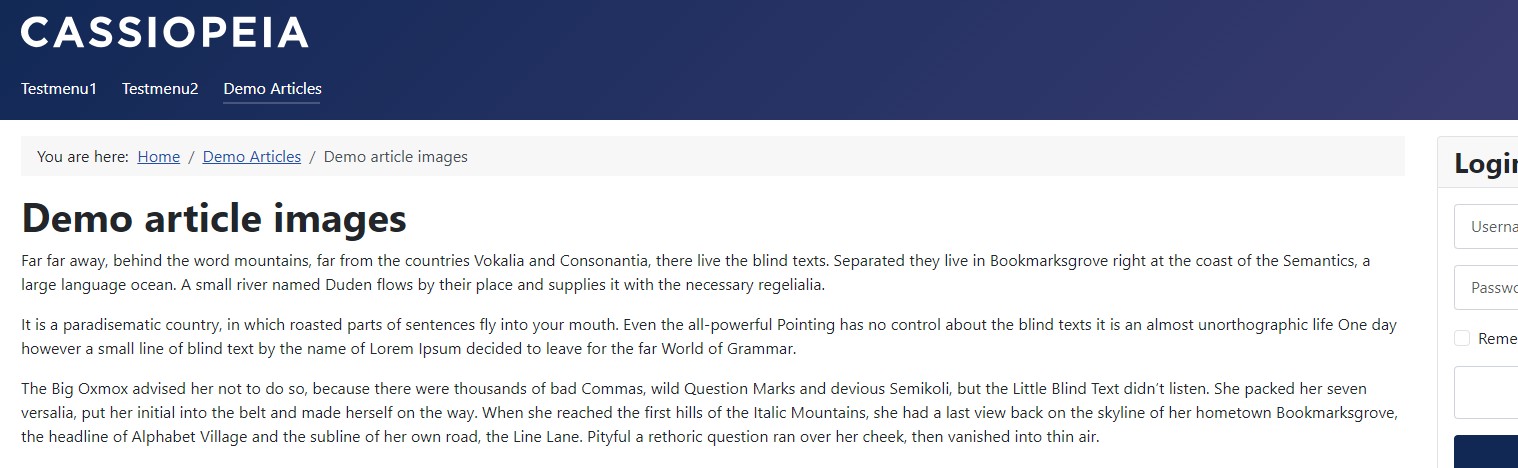 Screenshot frontend article without image