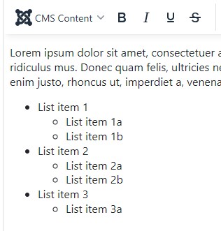 Screenshot of editor with multiple level unordered list